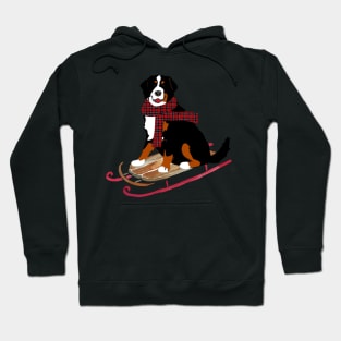 Bernese Mountain Dog Sledding Hoodie